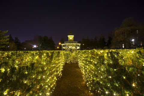 9 botanical gardens that are more beautiful at night missouri botanical garden holiday lights